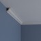 Ekena Millwork 1 5/8"H x 1 5/8"P x 2 1/4"F x 94 1/2"L Jackson Traditional Smooth Crown Moulding MLD01X01X02JA - alternate 6